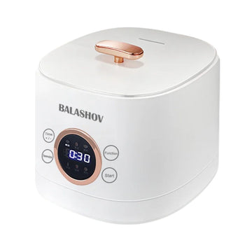 Mini Electric Rice Cooker